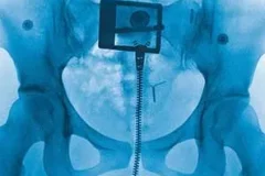 Lorde《Virgin》[无损FLAC/MP3/565MB]