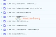 2024高中生物 高一 邓康尧生物 一轮 暑假班