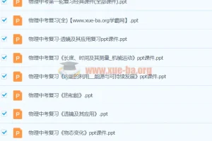 初中物理 中考物理复习课件 试题