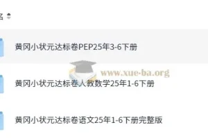 2025春小学黄冈小状元达标卷·人教版 (语数英)