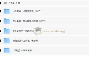 杨藩 汉字硬笔书写速成课（最全）