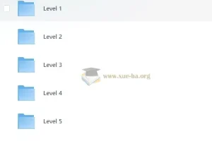 猫博士 有道分阶写作课 (Level 1-6)