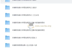 小学英语 学而思 1-6年级 30课时学完小学语法视频教程