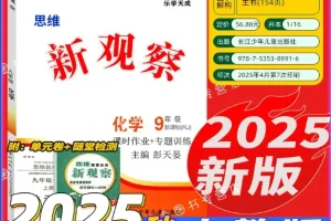 2025版九年级化学《思维新观察》上下册资料