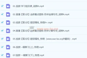 2024高三高考物理 胡婷 二轮A班春季班