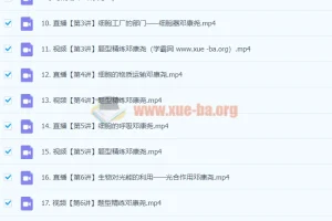 2024高中生物 高一 邓康尧生物 一轮 暑假班