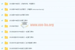 初中语文 中考总复习 资料合集