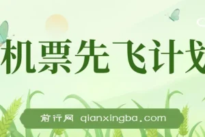 2024暑假最赚钱的项目(机票先飞计划)，小红书咸鱼暴力引流简单无脑操作，每单利润最少500+