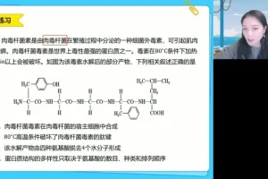 2025高一生物必修一系统精讲班：细胞结构与功能全突破
