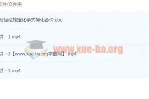 初中化学 1课时轻松搞定化学式与化合价