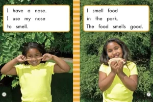 雪梨老师少儿英语绘本跟读课：164节口语提升