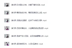 《付费健身：12节在家也能练出性感蜜桃臀，让臀部变得圆、紧、翘》(完结）