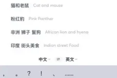 国外美食与视频创业全攻略：从素材搜索到抖音运营