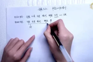 金菲美甲全科班：零基础到高级技法大全