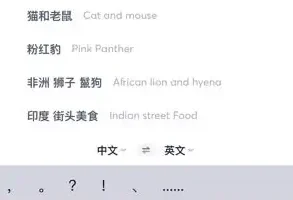 国外美食与视频创业全攻略：从素材搜索到抖音运营