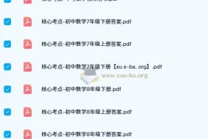 核心考点-初中数学