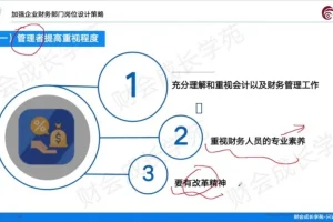 金牌财务经理实战课：税务筹划/报表合并/风险管控