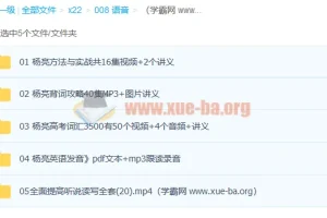 杨亮背单词 高考词汇 方法与实战 英语发音 听说读写 14G全套