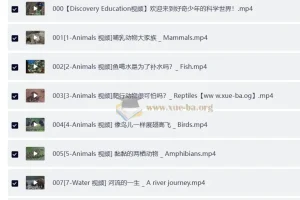 Discovery 双语科学启蒙课 探索·好奇少年的双语科学世界 (音视频+配套资料)