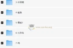 幼儿小学英语 基础版思维导图