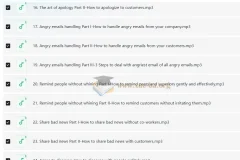 Wise Email Writing 商务英语邮件写作系列课程