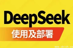 DeepSeek 使用与部署指南（含软件资源）