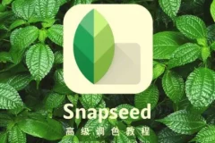 Snapseed从入门到精通，手机修图高手速成，一部手机就能修出摄影大片
