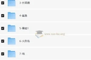 幼儿小学英语 基础版思维导图
