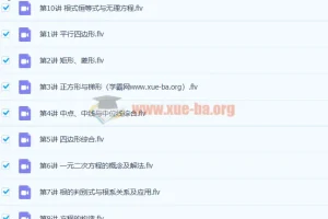 徐德直 初二数学暑期目标班10讲