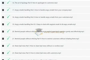 Wise Email Writing 商务英语邮件写作系列课程