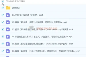 2024高中语文 高一张亚柔语文 春季班