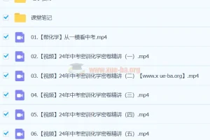 杨雯智化学 2024初三中考化学冲刺密训班