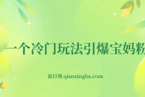 一个冷门玩法引爆宝妈粉的同时还可以变现，长期项目轻松日入300+
