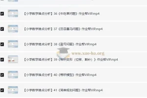 作业帮VIP 小学数学考点难点解析