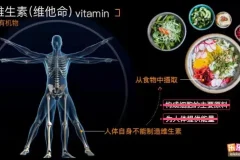 乐乐课堂初中生物高清动画视频：初一初二全解析