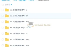 新东方新概念零英语 基础英语直达6级全集课 100GB