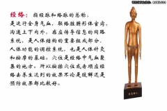 男士健康：高思楠补肾宝典