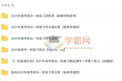 2025 新高考 高考政治 一轮复习资料合集