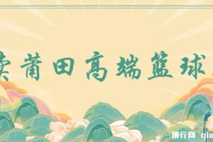 卖莆田高端篮球鞋，小白轻松月入过万