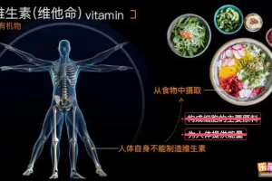 乐乐课堂初中生物高清动画视频：初一初二全解析