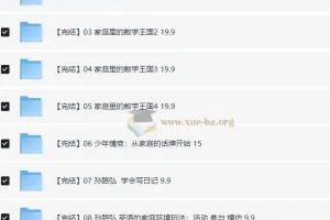 脑力工程师孙路弘儿童教育合集