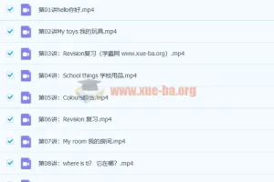 张婷婷 2019暑 小学二年级英语暑假班 10讲