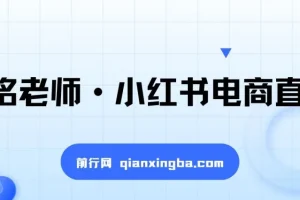 【精】小红书电商运营实战课：涵盖直播带货、店铺运营、笔记运营、AI工具赋能