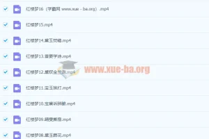 【完结】红楼梦(邵鑫，2022春季班）