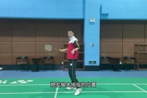 辰南羽毛球刻意训练：12个动作纠正指南