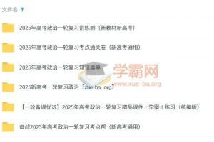 2025 新高考 高考政治 一轮复习资料合集