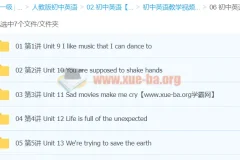 初中英语九年级下（万斯佳）