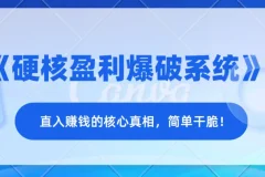 《硬核盈利爆破系统》——直入赚钱的核心真相，简单干脆！