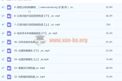 【抖音 青林调色课堂】青林手机修图系统课程299