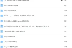 《DeepSeek大汇总，目前全网最全的DeepSeek》[pdf]